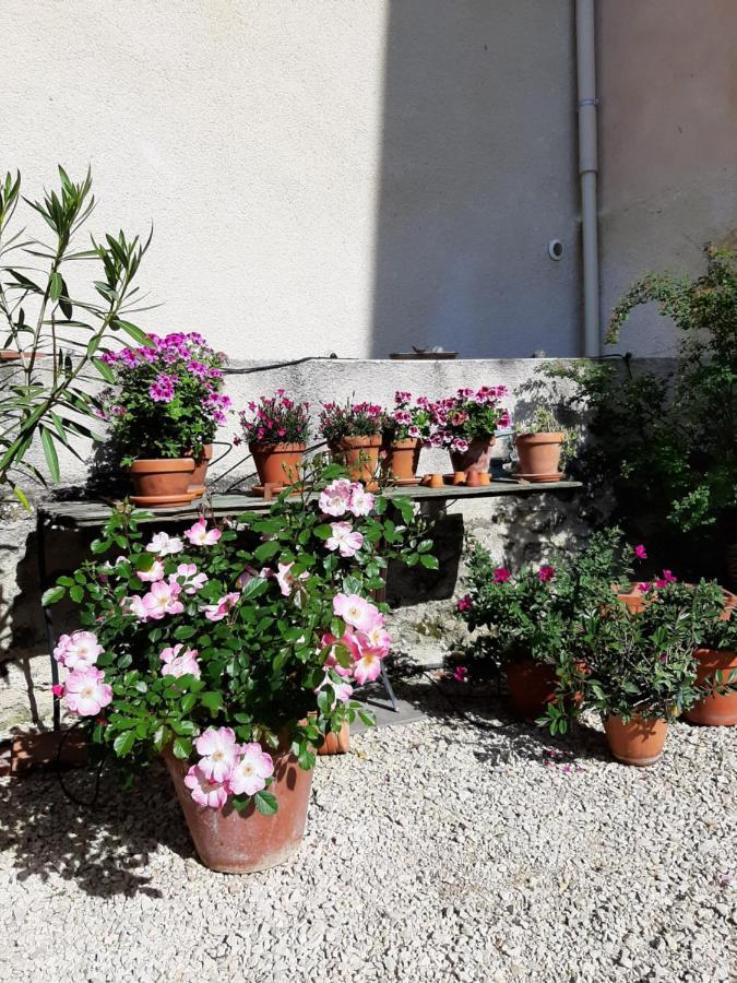 Maison D'Hotes Ventoureso Malemort-du-Comtat Exteriör bild