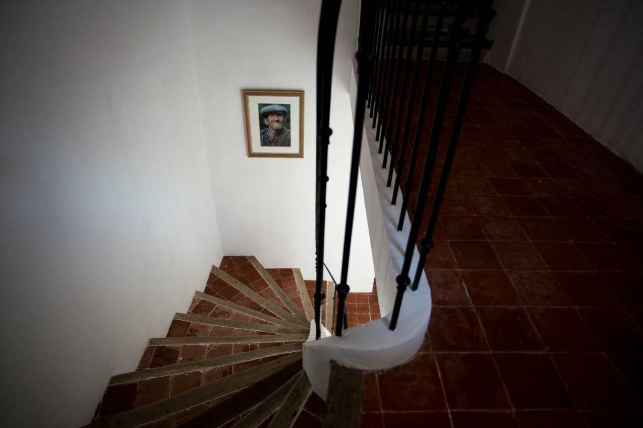 Maison D'Hotes Ventoureso Malemort-du-Comtat Exteriör bild